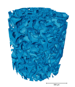 Auxetic foam (negative Poisson ratio) imaged on PrismaXRM